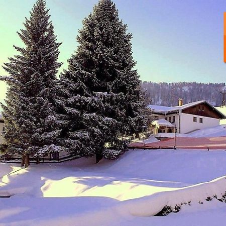 Appartement Nr 19, Alpenappartementhaus, Oberstaufen-Steibis, Allgaeu, Oberstaufen Plus エクステリア 写真
